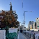 숭례초등학교 앞 이미지