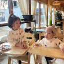 고서에서 가장 좋아했던, 돌담
