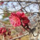 통뼈감자탕 이미지