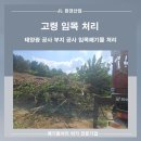 JL 태양광발전소 이미지