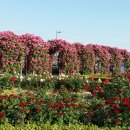 뚝섬한강공원-4 이미지