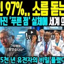 97퍼센트
