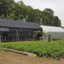 재경농장 이미지