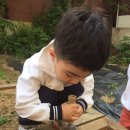 자연생활어린이집 이미지