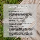 독서모임과 예술활동으로 자기 돌봄이 가능하다고?