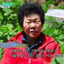 김종희농장 이미지