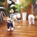 오늘 더 예쁘개 이미지