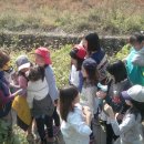 파주송화초등학교 이미지