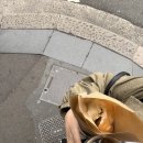 고양이뻐스 | [호주워홀 +691] 말포이 죽었다고? 아~ ..죽을 수 있지!