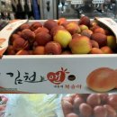 카페니어 이미지