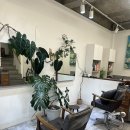 예루살렘미용실 이미지