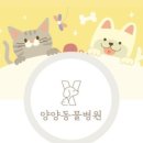 양양동물병원 이미지