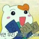 투어테일러 이미지