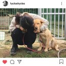 옥율 이미지