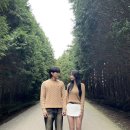 삼일목장 | 제주도의 푸른 밤