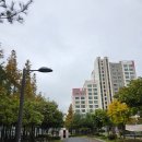 다루동물병원 이미지