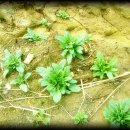 연동농장 이미지