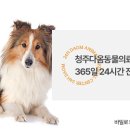 증평동물병원 이미지