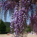 입면초등학교 이미지