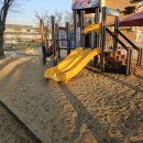 왜관초교(병설) | 경북 왜관 00초등학교 병설유치원 놀이터 모래소독 작업후기