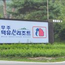 무주구천동매실농장 이미지