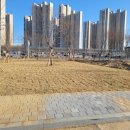 포크레인 이미지