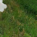 양산 튼튼 마취통증의학과의원 이미지