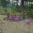 두밀숲캠핑장