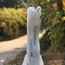 윤민헌 선생 묘 | 윤민일 묘