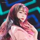 보라중학교 이미지