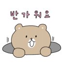 차카(chaka) 이미지