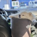 폴짝하우스 이미지