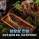 환절기 필수템! 삼삼삼 인삼으로 활력 충전하는 비법 공개