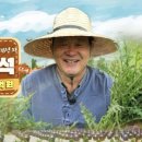 부자농장 이미지