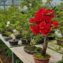 수광농장 이미지