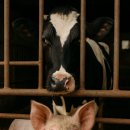 영수환경자원 이미지