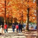 경상남도 수목원 이미지