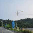 마린민박 | 태안 의항해수욕장 만리포 마린서핑 SUP 패들보드강습 + 민박 내돈내산 후기