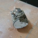 동도중학교 이미지