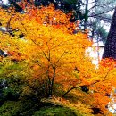 부산어린이대공원 이미지