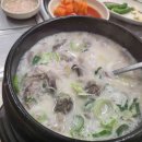 세라젬웰카페공주