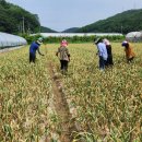 군위읍행정복지센터 이미지