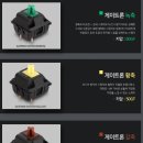 키보드 가성비를 따진다면 콕스 CK87 (녹축/황축/갈축)