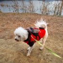 대한사료 노동조합 이미지