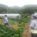 고구려 목장 이미지