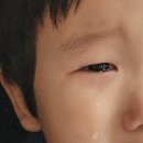 토이아울렛원주점