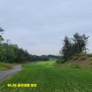 영동 일라이트CC 이미지