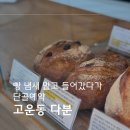 (세종시 고운동빵집) 다분 베이커리 후기 | 숨은 소금빵 맛집 발견