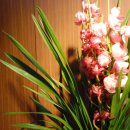 쉬즈굿여성의원 이미지