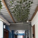 Sol Guest House | 산타크루즈 섬 위치, 가성비 끝판왕 코스타 델 솔 게스트하우스(Costa del Sol Guest House) 솔직 후기!